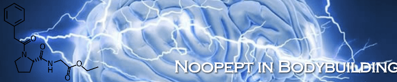 Noopept in Bodybuilding Supplements - What You Should Know