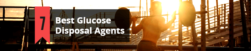 Best Glucose Disposal Agents