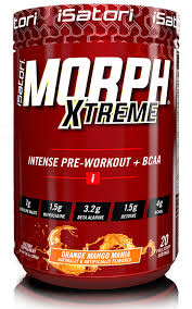 isatori morph xtreme