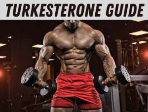 The Ultimate Guide to Turkesterone Supplements