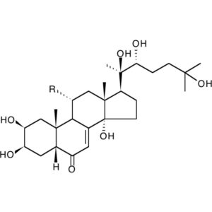 Turkesterone Breakdown