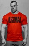 Universal Animal Iconic T-Shirt