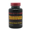 SAN Tribuvar