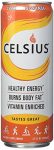 Celsius CELSIUS RTD